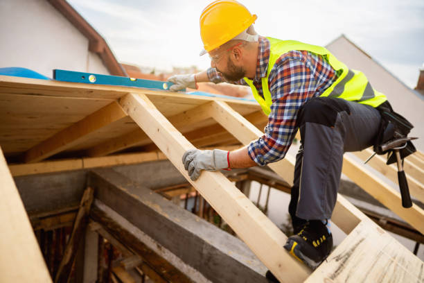 Best Roof Gutter Cleaning  in Latrobe, PA