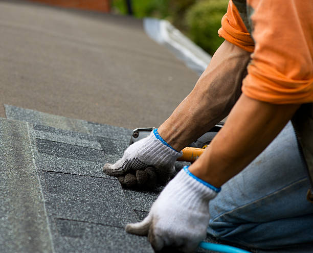 Best Metal Roofing Contractor  in Latrobe, PA