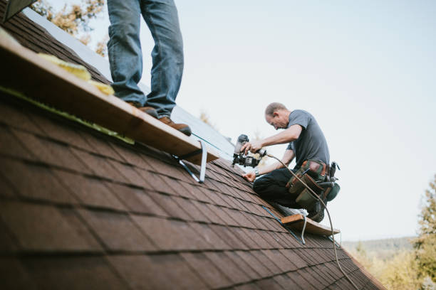 Roof Gutter Cleaning in Latrobe, PA